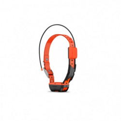 Collier de suivi et dressage Garmin Alpha T20F