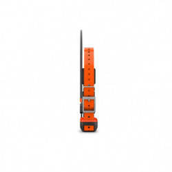 Collier de suivi et dressage Garmin Alpha T20F