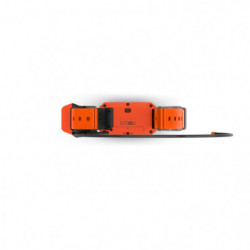 Collier de suivi et dressage Garmin Alpha T20F