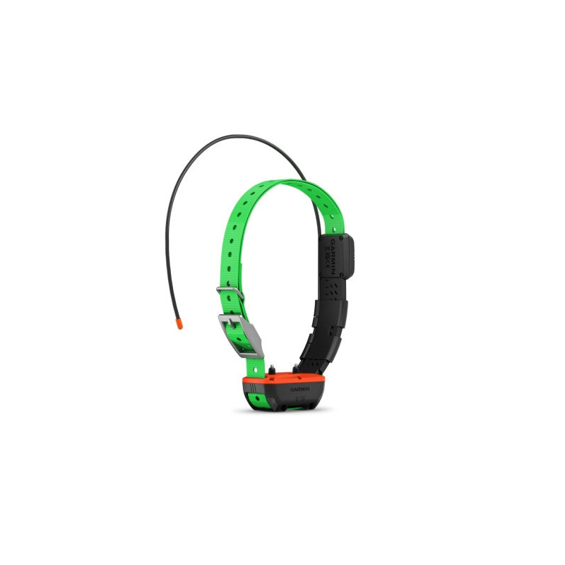 Collier de suivi et dressage Garmin Alpha TT25F