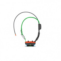 Collier de suivi et dressage Garmin Alpha TT25F