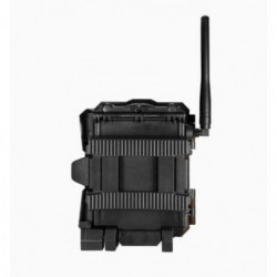 Caméra de chasse cellulaire SpyPoint link evo