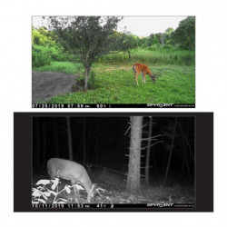 Camera de chasse cellulaire SpyPoint LINK-Micro S LTE