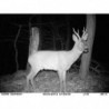 Camera de chasse Dörr Snapshot Mini Black 12 Mégapixel