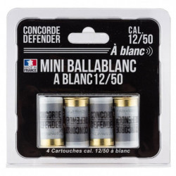 Cartouches à blanc Concorde...