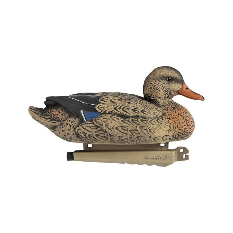 Colvert mousse Stepland Ultra HD