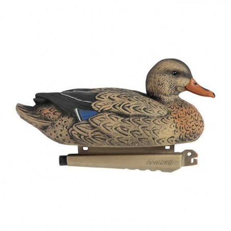 Colvert mousse Stepland Ultra HD