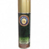 Aérosol imperméabilisant 2 en 1 Armistol cuir et tissus - 150 ml