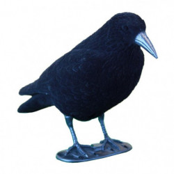 Appelant corbeau Stepland...
