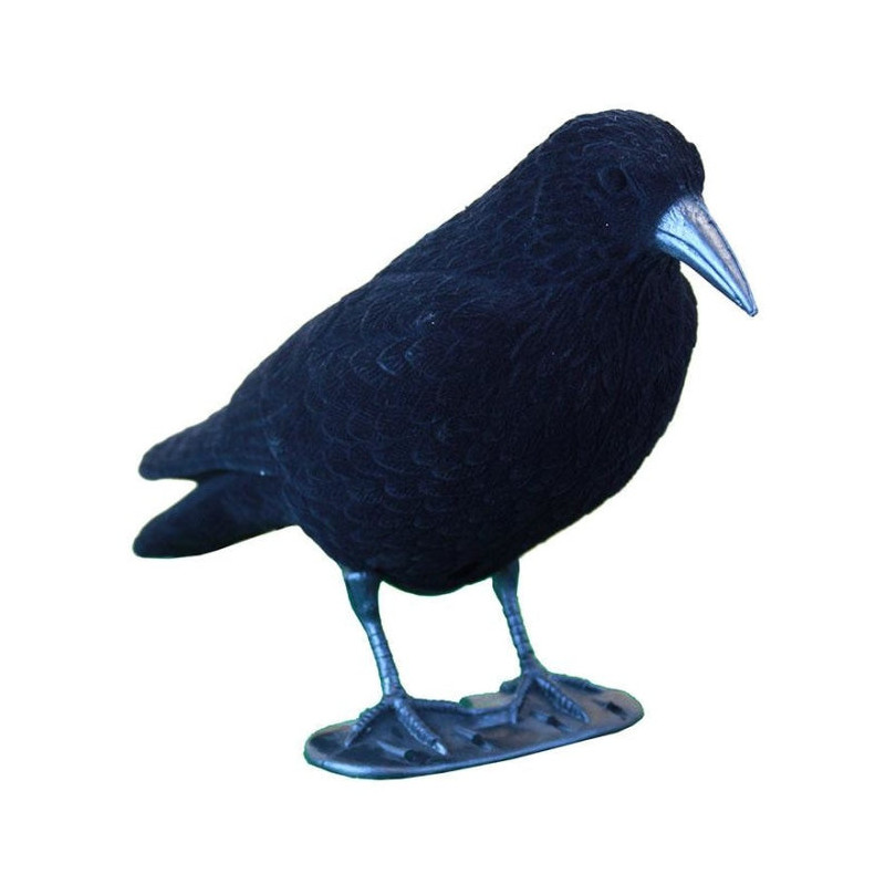 Appelant corbeau Stepland floqué sur pied
