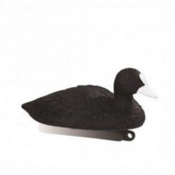 Appelant foulque Stepland
