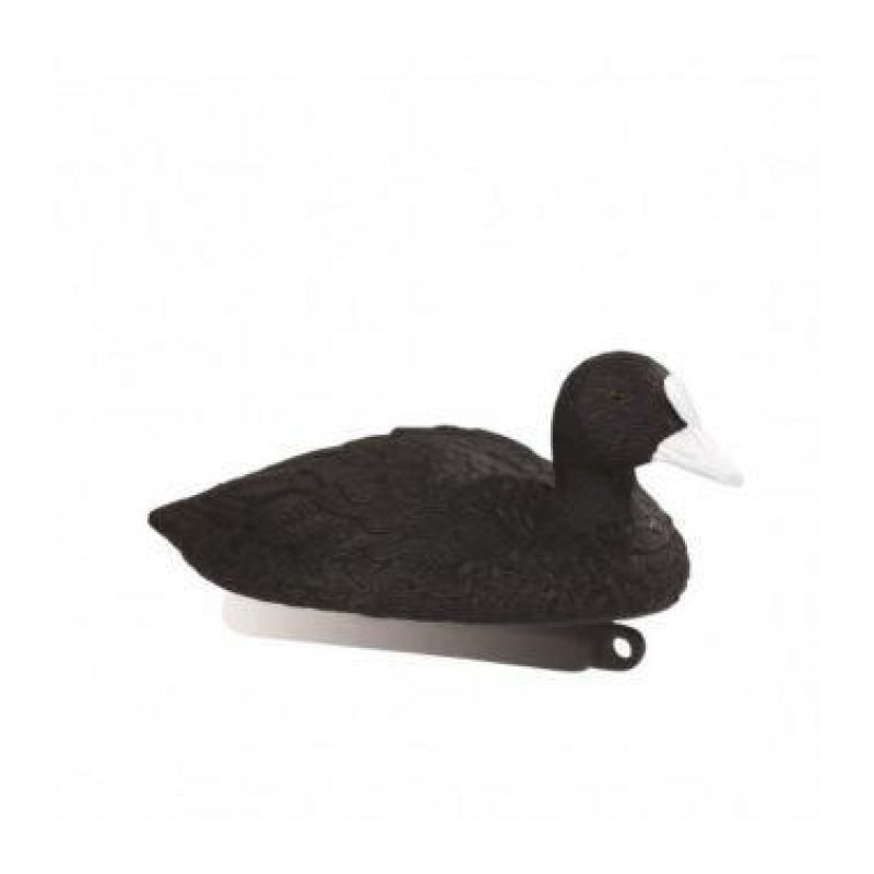 Appelant foulque Stepland