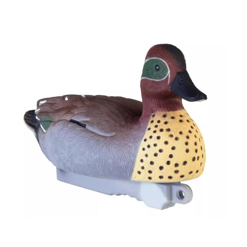 Appelant sarcelle male HD Stepland