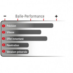 Balles Geco Star - Cal. 30-06