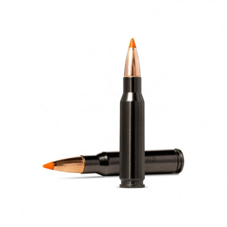 Balles Norma Tipstrike Silencer - Cal. 30-06