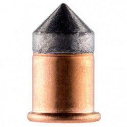 Boîte de 50 cartouches RWS 9 mm Flobert à balle