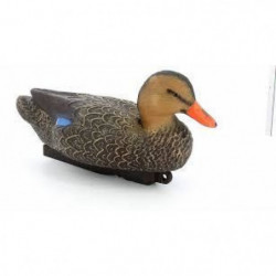 Appelant colvert femelle...
