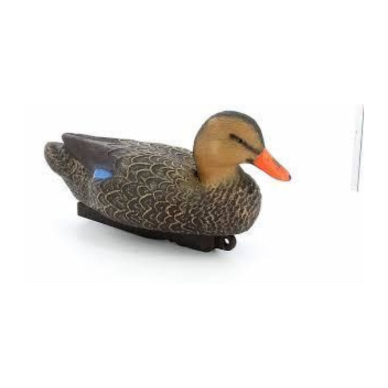 Appelant colvert femelle Stepland