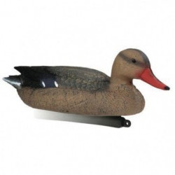 Appelant colvert magnum...
