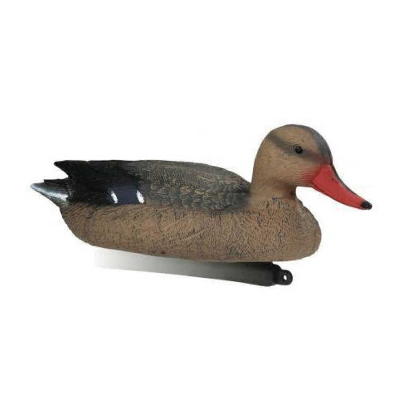 Appelant colvert magnum femelle Stepland