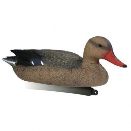 Appelant colvert magnum femelle Stepland