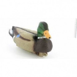 Appelant colvert mâle Stepland