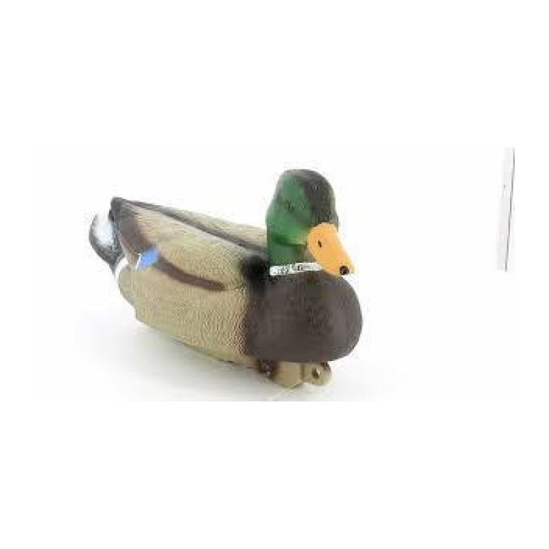Appelant colvert mâle Stepland