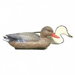 Appelant moussée colvert...