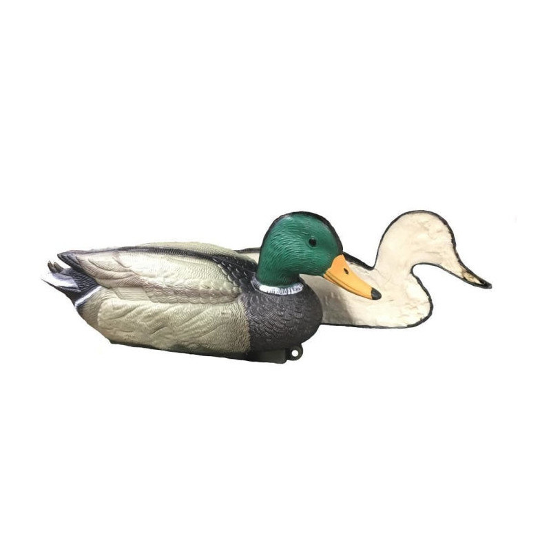 Appelant moussée colvert male Stepland