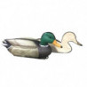 Appelant moussée colvert male Stepland
