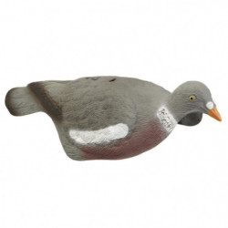 Appelant Stepland Pigeon...