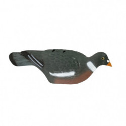 Appelant Stepland Pigeon...