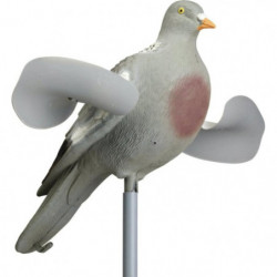 Appelant Stepland Pigeon...