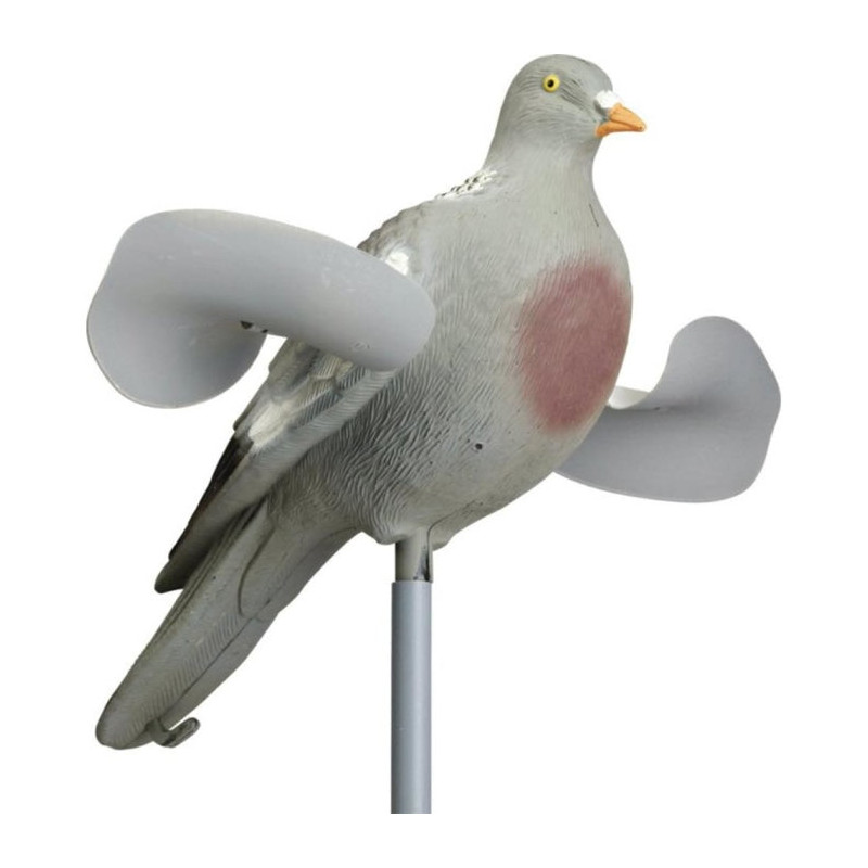 Appelant Stepland Pigeon ailes tournantes