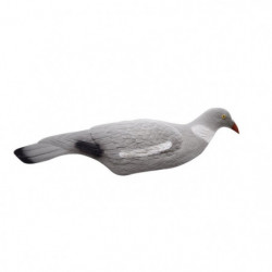 Appelant Stepland Pigeon...