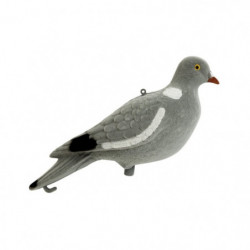 Appelant Stepland Pigeon...