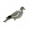 Appelant Stepland Pigeon floqué
