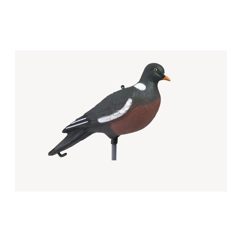 Appelant Stepland Pigeon ramier HD