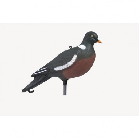Appelant Stepland Pigeon ramier HD