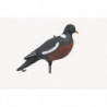 Appelant Stepland Pigeon ramier HD