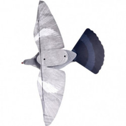Appelant Stepland Pigeon...