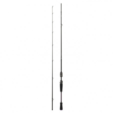 Canne Daiwa Prorex E Casting
