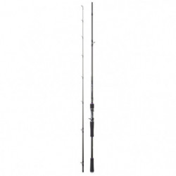 Canne Daiwa Prorex XR Casting