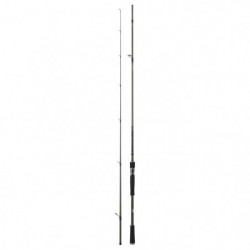 Canne Daiwa Prorex XR Spinning