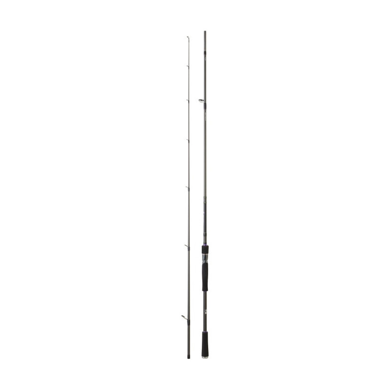 Canne Daiwa Prorex XR Spinning