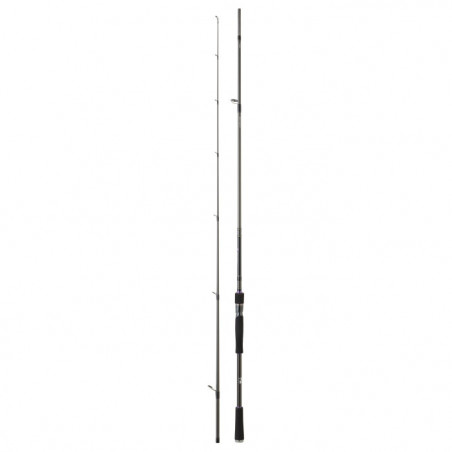 Canne Daiwa Prorex XR Spinning