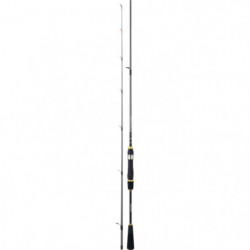 Canne Daiwa Regal Verticale