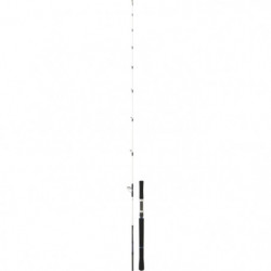 Canne Daiwa Salist off shore