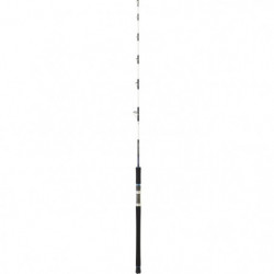 Canne Daiwa Salist off shore