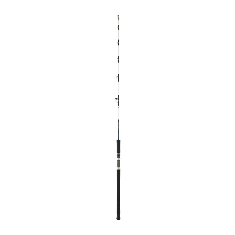 Canne Daiwa Salist off shore